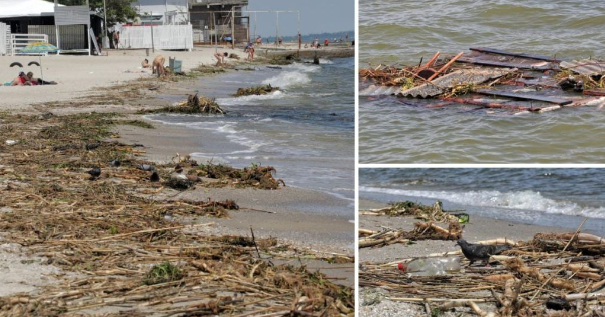 Ukraine conflict: Following dam collapse, Odesa's coastline turns into 'garbage dump'